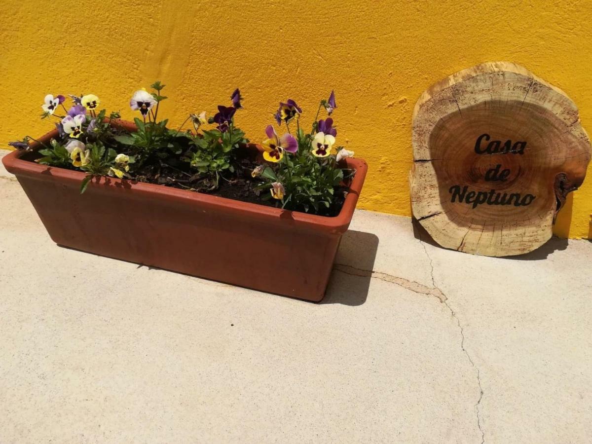 Casa Neptuno Βίλα Rabo de Peixe Εξωτερικό φωτογραφία